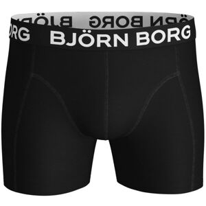Björn Borg Kalsonger 2-Pack Core Branch Shorts 1215