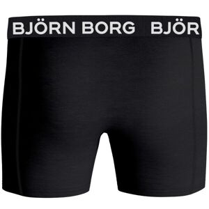 Björn Borg Kalsonger 12-Pack Essential Shorts 222