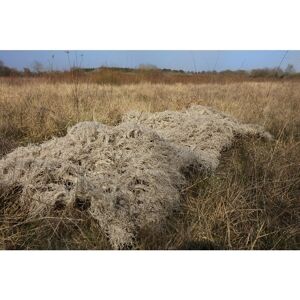 Tragopan Ghillie Blanket Beige