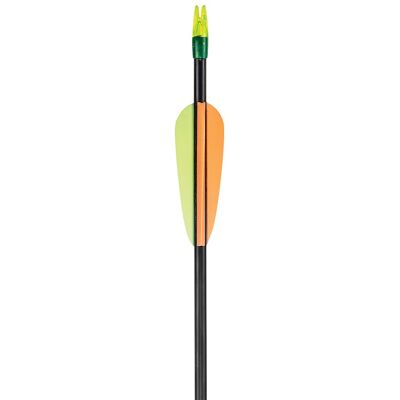 Ek Kompositpilar 30" skjutklar- 5-pack Ek Kompositpilar 30" skjutklar- 5-pack