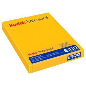 Kodak Ektachrome E100 4X5 - 10-pack