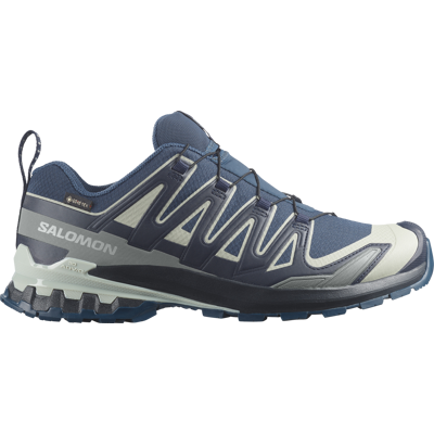 Salomon Men's XA 3D Pro V9 GORE-TEX Spellbound / Maritime Blue / Wrought Iron 43 ⅓ Salomon Men's XA 3D Pro V9 GORE-TEX Spellbound / Maritime Blue / Wrought Iron 43 ⅓