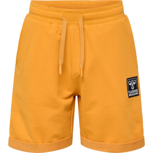 Hummel Kids' hmlTYLER Shorts Butterscotch 146, Butterscotch