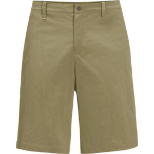 Jack Wolfskin Men's Desert Shorts Bay Leaf 46 Jack Wolfskin Men's Desert Shorts Bay Leaf 46