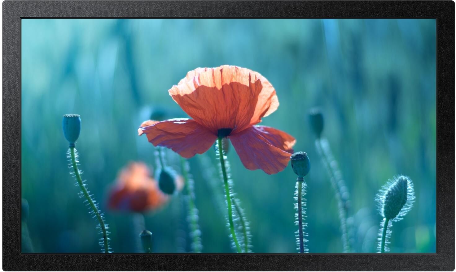 Samsung QB13R - 13" Diagonal klass QBR Series LED-skärm Samsung QB13R - 13" Diagonal klass QBR Series LED-skärm