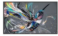 Philips 43BDL3550Q - 43" Diagonal klass (42.5" visbar) - Q-Line Philips 43BDL3550Q - 43" Diagonal klass (42.5" visbar) - Q-Line