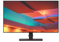 Lenovo ThinkVision P27q-20 - LED-skärm - 27" (27" visbar) - 2560 Lenovo ThinkVision P27q-20 - LED-skärm - 27" (27" visbar) - 2560