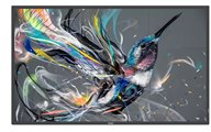 Philips 65BDL3510Q - 65" Diagonal klass (64.5" visbar) - Q-Line Philips 65BDL3510Q - 65" Diagonal klass (64.5" visbar) - Q-Line