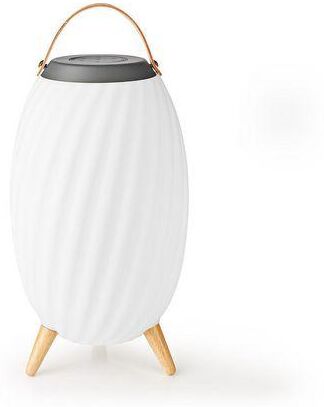 Högtalare NEDIS 60W BT Vattenskyddad Högtalare NEDIS 60W BT Vattenskyddad