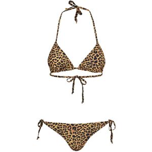 Bikini Animal UC   DamLBrun/Svart Brun/Svart