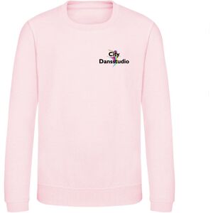 Sweatshirt   Junior   Citydansstudio152clBabyrosa Babyrosa