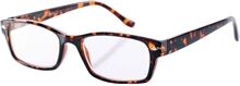 Sunmate Readers - Tortoise Sunmate Readers - Tortoise