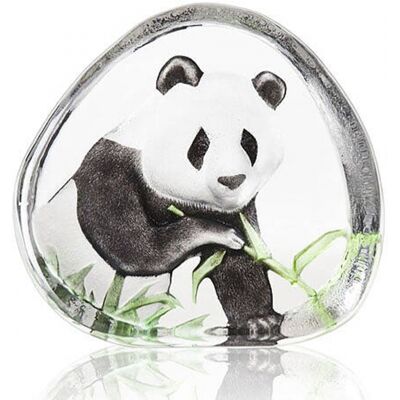 Panda - Målerås Panda - Målerås