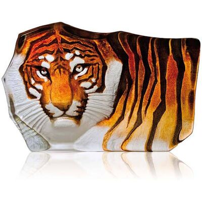 Tiger, Liten - Målerås Tiger, Liten - Målerås