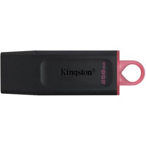 Kingston USB 3.2 Gen1 USB-minne 256GB