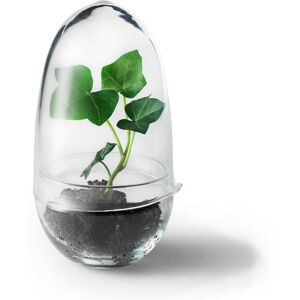 Design House - Grow Small - Transparent - Krukor