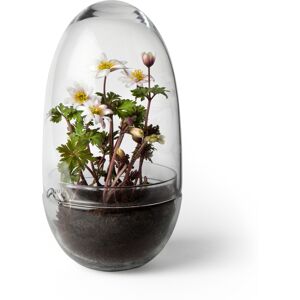 Design House - Grow Large - Transparent - Krukor