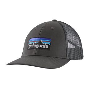 Patagonia P-6 Logo LoPro Trucker Hat, One Size, Forge Grey