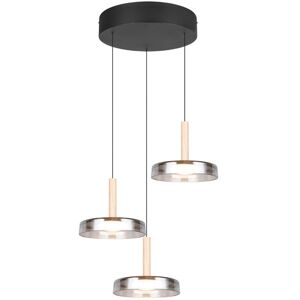 Trio T354930332 LED závesné stropné svietidlo CELESTE 3x7,5W integrovaný LED zdroj 3x750lm 3000K Trio T354930332 LED závesné stropné svietidlo CELESTE 3x7,5W integrovaný LED zdroj 3x750lm 3000K