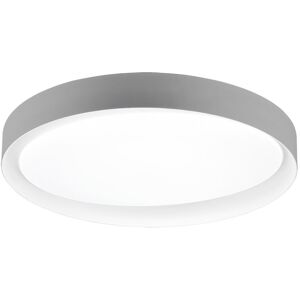 Trio R62712411 LED stropné svietidlo Zeta 1x24W 2000L 2700-6500K IP20 - stmievateľné, nastavenie teploty osvetlenia, diaľkové ovládanie, sivá s bielou Trio R62712411 LED stropné svietidlo Zeta 1x24W 2000L 2700-6500K IP20 - stmievateľné, nastavenie teploty osvetlenia, diaľkové ovládanie, sivá s bielou