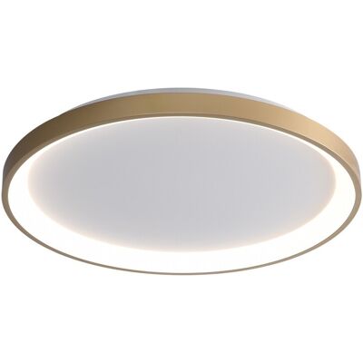 Italux CLN-3151-S-GD LED prisadené stropné svietidlo Raden 40W LED 2400lm 3000-6000K Italux CLN-3151-S-GD LED prisadené stropné svietidlo Raden 40W LED 2400lm 3000-6000K