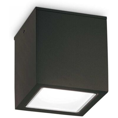 Ideal Lux 251530 prisadené stropné svietidlo Techo big 1x20W GU10 IP54 - čierna Ideal Lux 251530 prisadené stropné svietidlo Techo big 1x20W GU10 IP54 - čierna