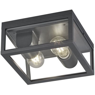 Trio 601860242 stropné svietidlo do kúpeľne Garonne 2x40W E27 IP44 Trio 601860242 stropné svietidlo do kúpeľne Garonne 2x40W E27 IP44