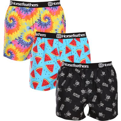 3PACK pánske trenky Horsefeathers Frazier Bundle 3 (AM096E) L 3PACK pánske trenky Horsefeathers Frazier Bundle 3 (AM096E) L