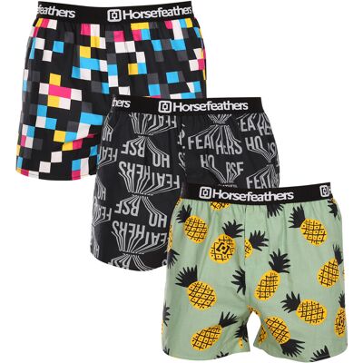 3PACK pánske trenky Horsefeathers Frazier Bundle 4 (AM096F) M 3PACK pánske trenky Horsefeathers Frazier Bundle 4 (AM096F) M