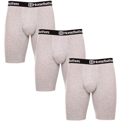 3PACK pánske boxerky Horsefeathers Dynasty long (AM195C) XL 3PACK pánske boxerky Horsefeathers Dynasty long (AM195C) XL