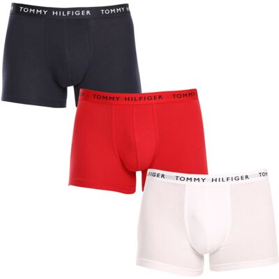 3PACK pánske boxerky Tommy Hilfiger viacfarebné (UM0UM02203 0WS) XXL 3PACK pánske boxerky Tommy Hilfiger viacfarebné (UM0UM02203 0WS) XXL