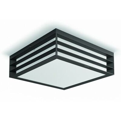 Philips 17350/93/PN Moonshine stropné svietidlo 2xE27 IP44 Philips 17350/93/PN Moonshine stropné svietidlo 2xE27 IP44