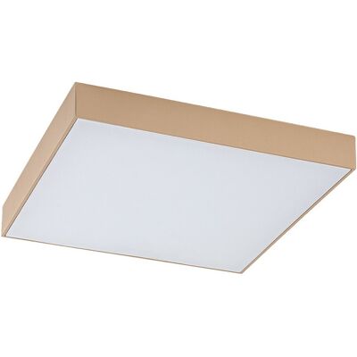 Vonkajšie stropné svietidlo LED 2500lm 2800 / 4000 / 6000K béžová IP44 Rabalux Tartu 98077000 Vonkajšie stropné svietidlo LED 2500lm 2800 / 4000 / 6000K béžová IP44 Rabalux Tartu 98077000