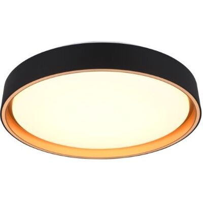 TRIO Reality R64391080 FELIS stropné svietidlo SMD LED D400mm 24W/2500lm 2700-6500K čierno-zlatá, biela, stmievateľné, diaľkový ovládač TRIO Reality R64391080 FELIS stropné svietidlo SMD LED D400mm 24W/2500lm 2700-6500K čierno-zlatá, biela, stmievateľné, diaľkový ovládač