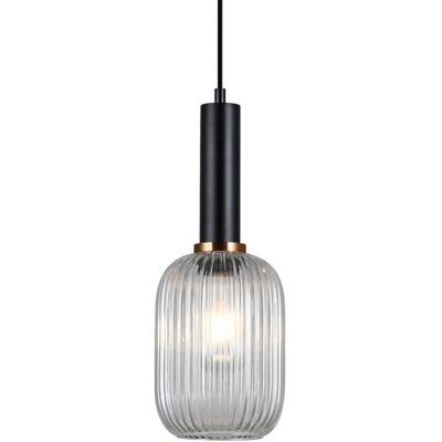 Italux PND-5588-1M-BK+CL závesné svietidlo Antiola D150mm 1x40W E27 čierna, priehľadná Italux PND-5588-1M-BK+CL závesné svietidlo Antiola D150mm 1x40W E27 čierna, priehľadná