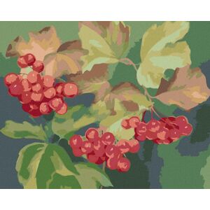 Zuty – Maľovanie Podľa Čísel – Červené Ríbezle (Myroslava Voloschuk), 80 × 100 cm, Plátno + Rám Zuty – Maľovanie Podľa Čísel – Červené Ríbezle (Myroslava Voloschuk), 80 × 100 cm, Plátno + Rám
