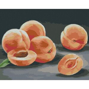 Zuty – Maľovanie Podľa Čísel – Marhule (Myroslava Voloschuk), 80 × 100 cm, Plátno + Rám Zuty – Maľovanie Podľa Čísel – Marhule (Myroslava Voloschuk), 80 × 100 cm, Plátno + Rám