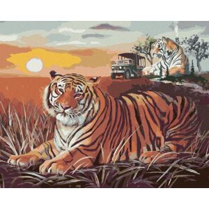 Zuty – Maľovanie podľa čísel – Tiger a západ slnka na savane (D. Rusty Rust), 80 × 100 cm, plátno + rám Zuty – Maľovanie podľa čísel – Tiger a západ slnka na savane (D. Rusty Rust), 80 × 100 cm, plátno + rám