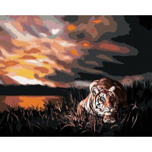 Zuty – Maľovanie podľa čísel – Číhajúci tiger a západ slnka (D. Rusty Rust), 80 × 100 cm, plátno + rám Zuty – Maľovanie podľa čísel – Číhajúci tiger a západ slnka (D. Rusty Rust), 80 × 100 cm, plátno + rám