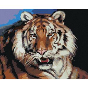 Zuty – Maľovanie Podľa Čísel – Tiger Portrét (D. Rusty Rust), 80 × 100 cm, Plátno + Rám Zuty – Maľovanie Podľa Čísel – Tiger Portrét (D. Rusty Rust), 80 × 100 cm, Plátno + Rám