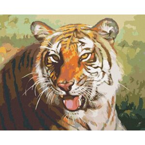 Zuty – Maľovanie podľa čísel – Odpočívajúci tiger portrét (D. Rusty Rust), 80 × 100 cm, plátno + rám Zuty – Maľovanie podľa čísel – Odpočívajúci tiger portrét (D. Rusty Rust), 80 × 100 cm, plátno + rám