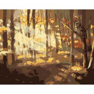 Zuty – Maľovanie podľa čísel – Sova a les na jeseň (D. Rusty Rust), 80 × 100 cm, plátno + rám Zuty – Maľovanie podľa čísel – Sova a les na jeseň (D. Rusty Rust), 80 × 100 cm, plátno + rám
