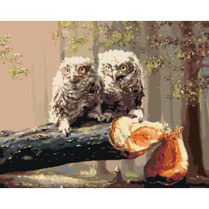 Zuty – Maľovanie podľa čísel – Mláďatá sovy na vyrúbanom strome (D. Rusty Rust), 80 × 100 cm, plátno + rám Zuty – Maľovanie podľa čísel – Mláďatá sovy na vyrúbanom strome (D. Rusty Rust), 80 × 100 cm, plátno + rám