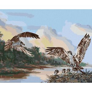 Zuty – Maľovanie podľa čísel – Orol a hniezdo s mláďatami (D. Rusty Rust), 80 × 100 cm, plátno + rám Zuty – Maľovanie podľa čísel – Orol a hniezdo s mláďatami (D. Rusty Rust), 80 × 100 cm, plátno + rám