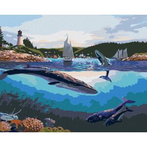 Zuty – Maľovanie Podľa Čísel – Veľryby A Pobrežné Mesto (Robert Johnson), 80 × 100 cm, Plátno + Rám Zuty – Maľovanie Podľa Čísel – Veľryby A Pobrežné Mesto (Robert Johnson), 80 × 100 cm, Plátno + Rám