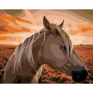 Zuty – Maľovanie Podľa Čísel – Kôň Pri Západe Slnka, 80 × 100 cm, Plátno + Rám Zuty – Maľovanie Podľa Čísel – Kôň Pri Západe Slnka, 80 × 100 cm, Plátno + Rám