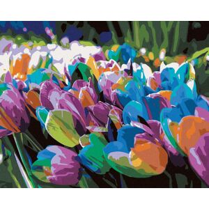 Zuty – Maľovanie Podľa Čísel – Dúhové Tulipány, 80 × 100 cm, Plátno + Rám Zuty – Maľovanie Podľa Čísel – Dúhové Tulipány, 80 × 100 cm, Plátno + Rám