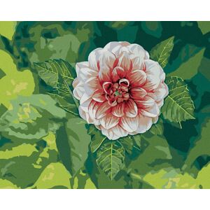 Zuty – Maľovanie Podľa Čísel – Dahlia Medzi Listami, 80 × 100 cm, Plátno + Rám Zuty – Maľovanie Podľa Čísel – Dahlia Medzi Listami, 80 × 100 cm, Plátno + Rám