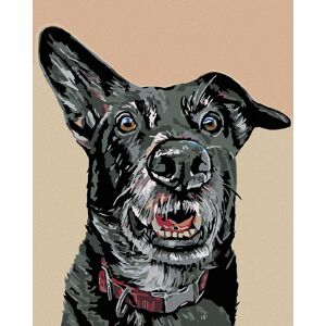 Diamondi – ČIERNY PES A NASTRAŽENÉ UCHO, 40 × 50 cm, bez rámu a bez napnutia plátna Diamondi – ČIERNY PES A NASTRAŽENÉ UCHO, 40 × 50 cm, bez rámu a bez napnutia plátna