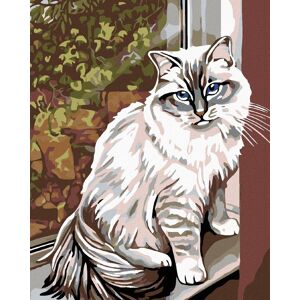 Diamondi – BIELA MAČKA V OKNE, 40 × 50 cm, napnuté plátno na ráme Diamondi – BIELA MAČKA V OKNE, 40 × 50 cm, napnuté plátno na ráme